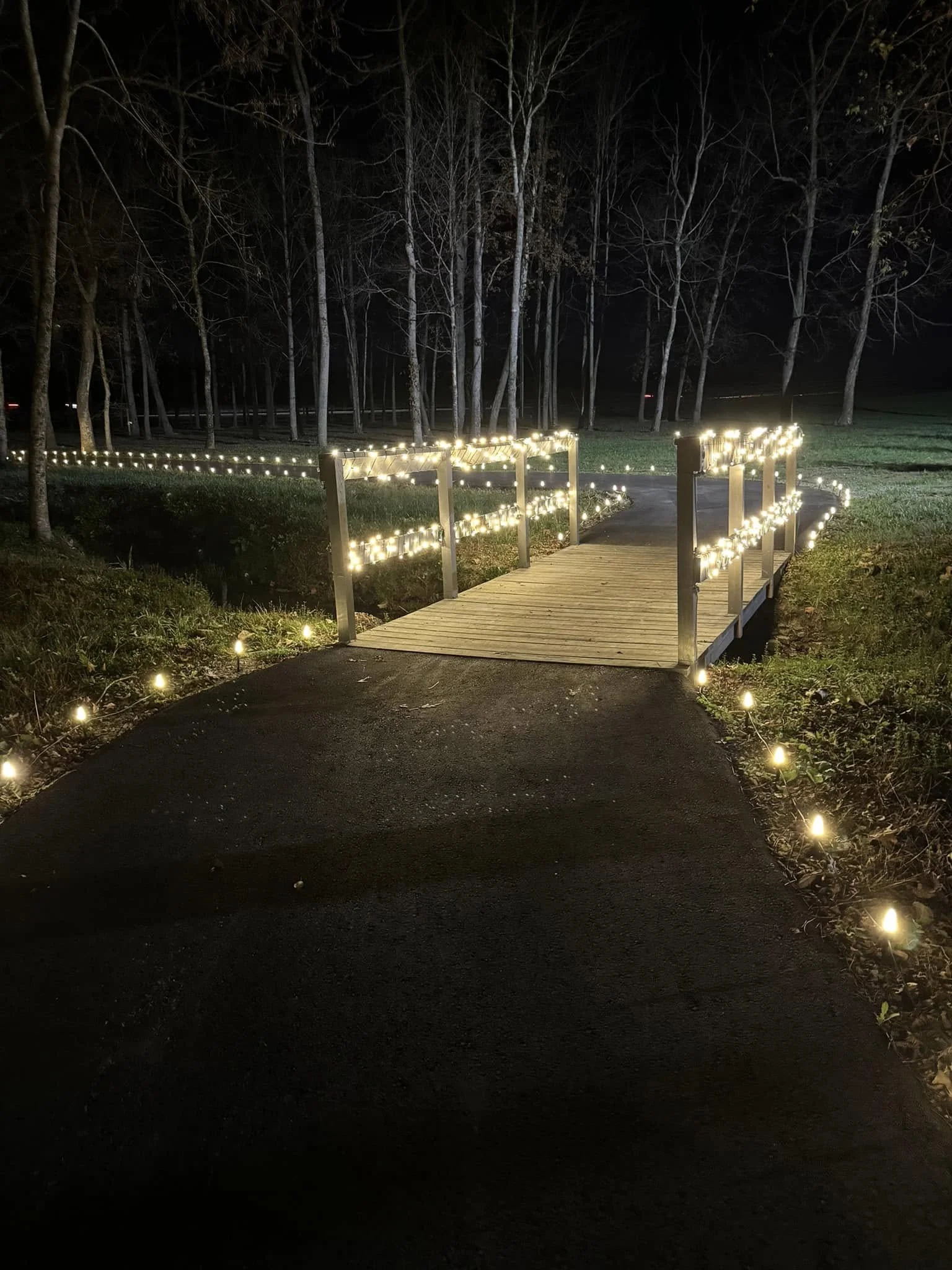 Tennessee Christmas Light Installers project 8
