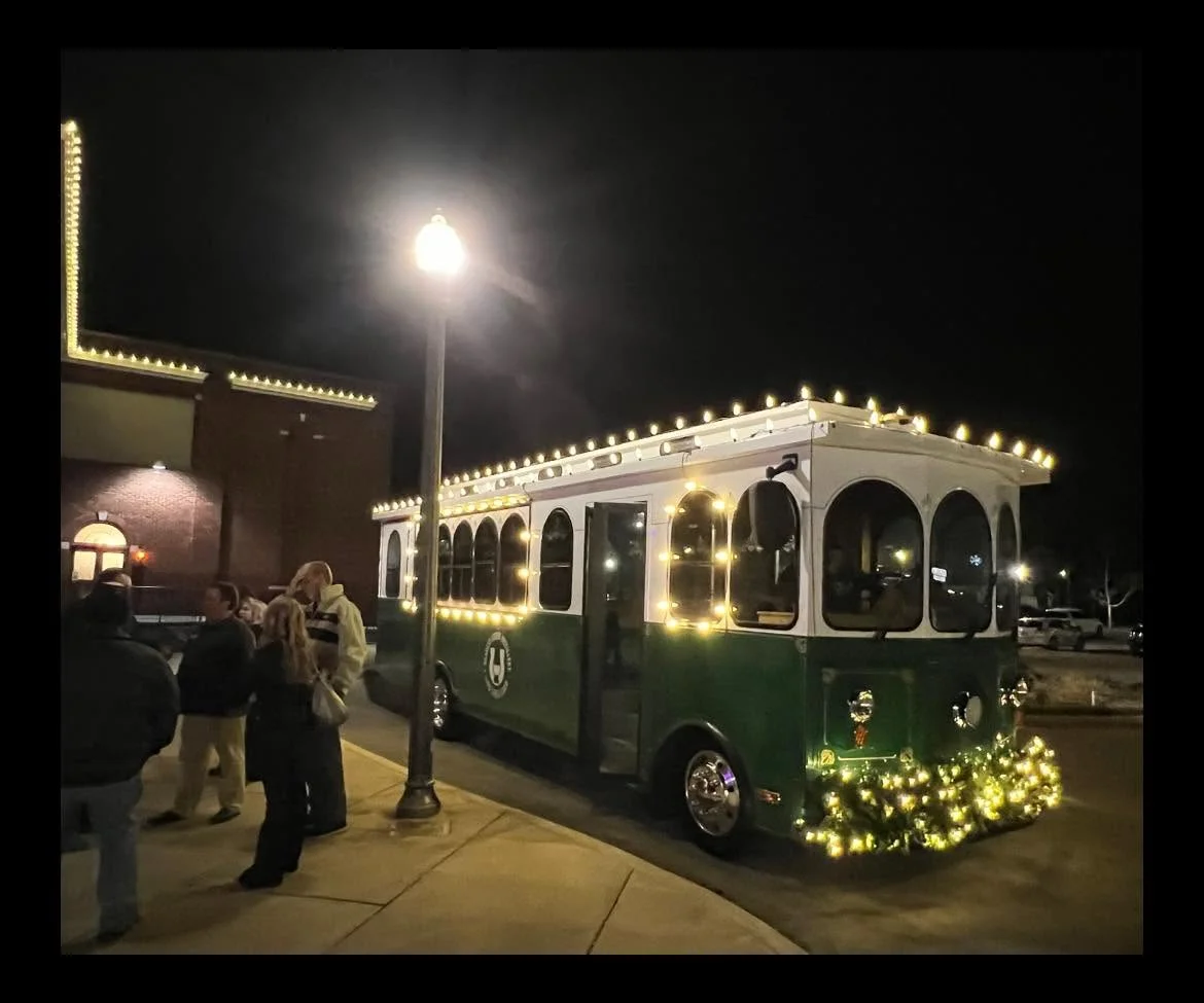 Tennessee Christmas Light Installers project 10