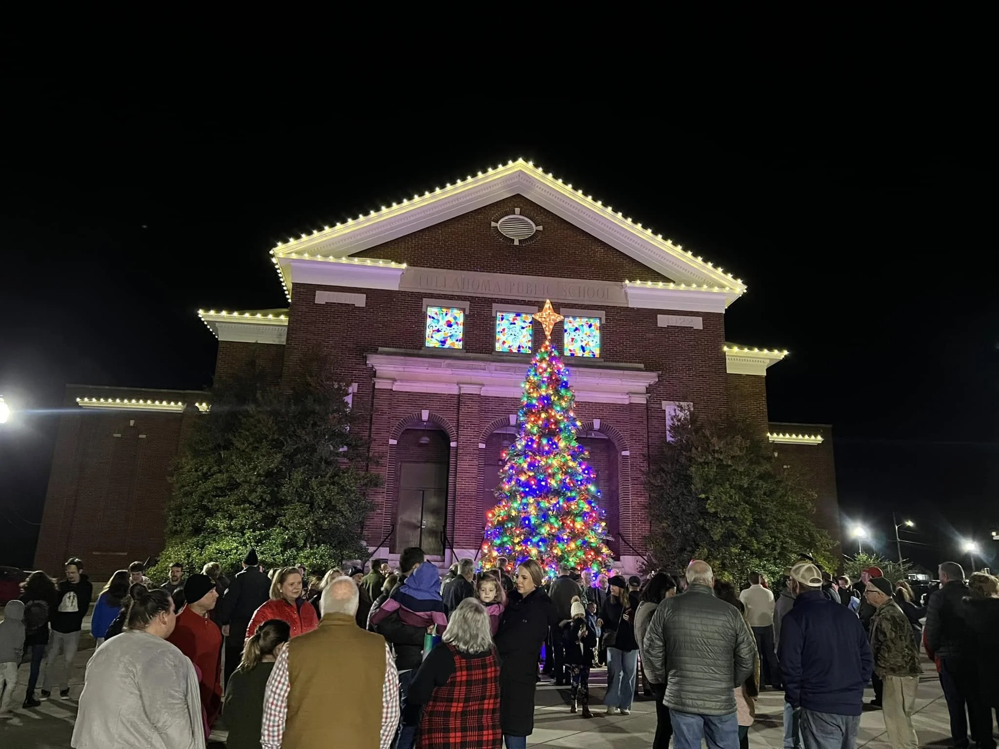 Tennessee Christmas Light Installers project 11
